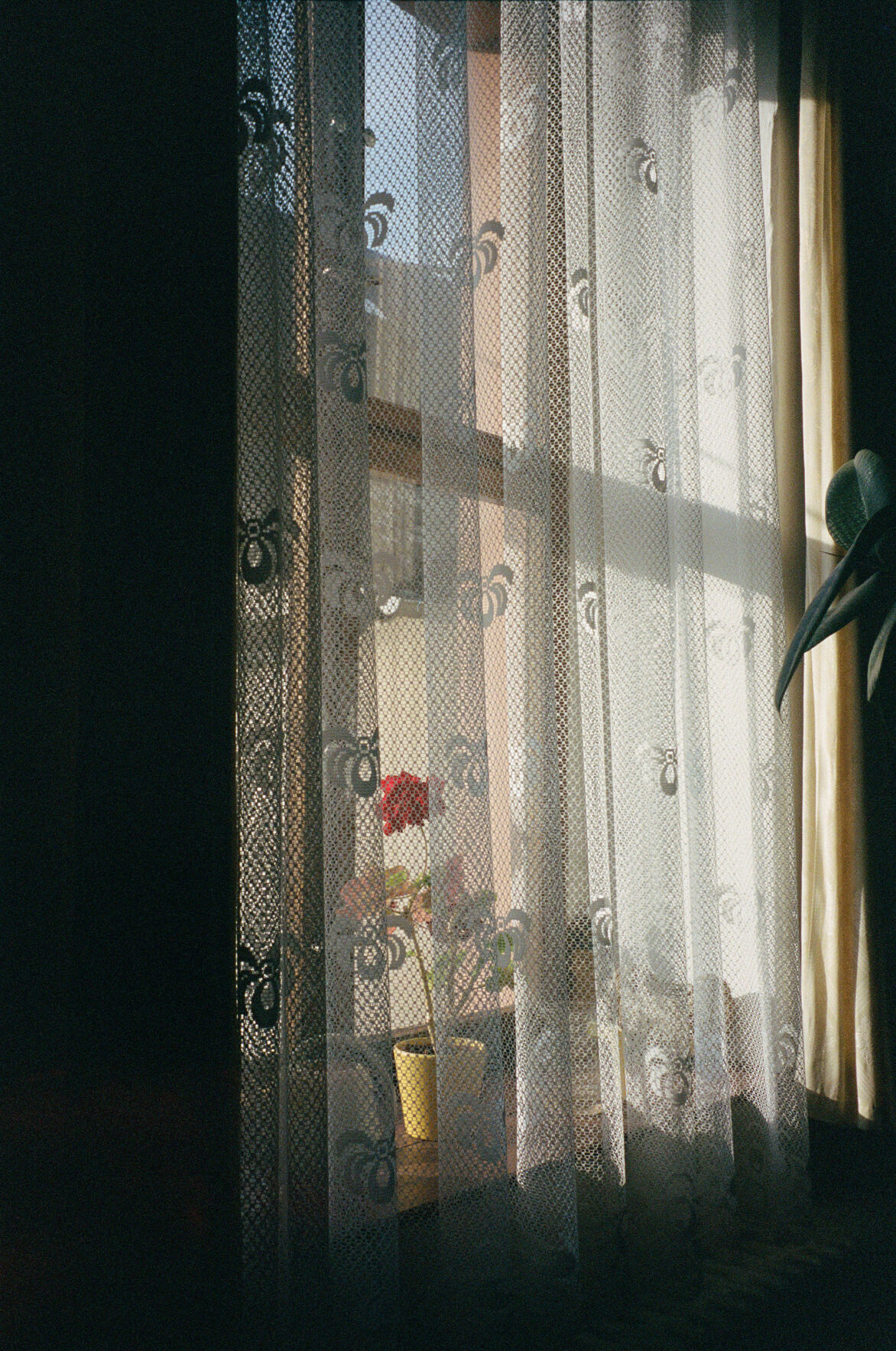 04babi-window_a.jpg